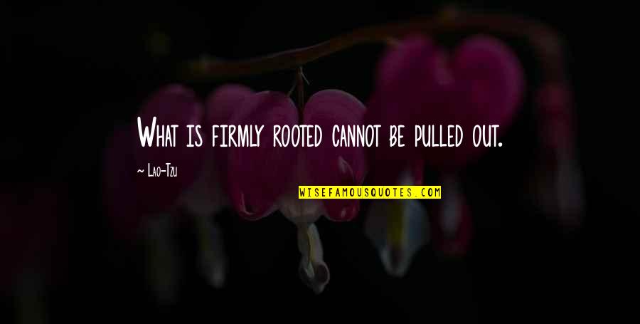 Bordo Color Quotes By Lao-Tzu: What is firmly rooted cannot be pulled out.