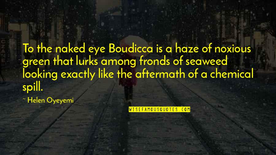 Bordom Quotes By Helen Oyeyemi: To the naked eye Boudicca is a haze