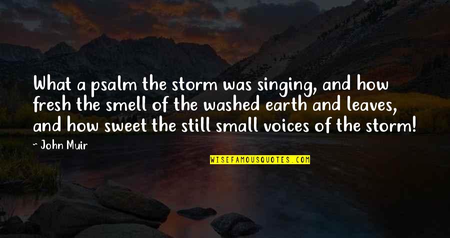 Bordos Thin Quotes By John Muir: What a psalm the storm was singing, and
