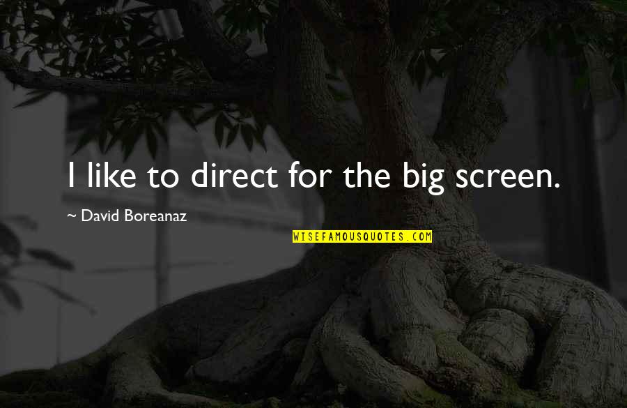 Boreanaz Quotes By David Boreanaz: I like to direct for the big screen.