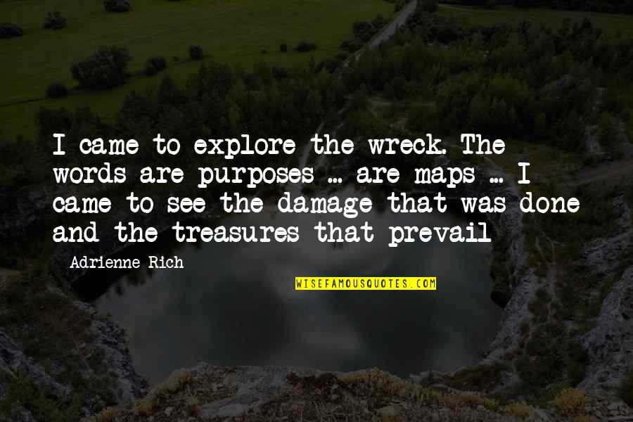 Borgenicht Quotes By Adrienne Rich: I came to explore the wreck. The words