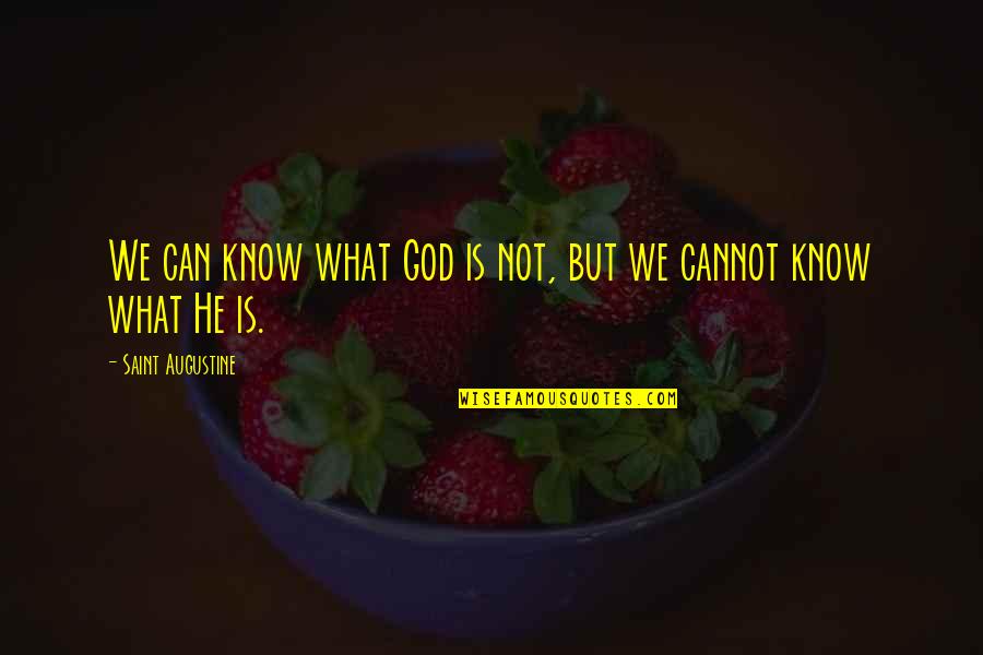 Borgias Series Quotes By Saint Augustine: We can know what God is not, but Borgias Series Quotes By Saint Augustine: We can know what God is not, but