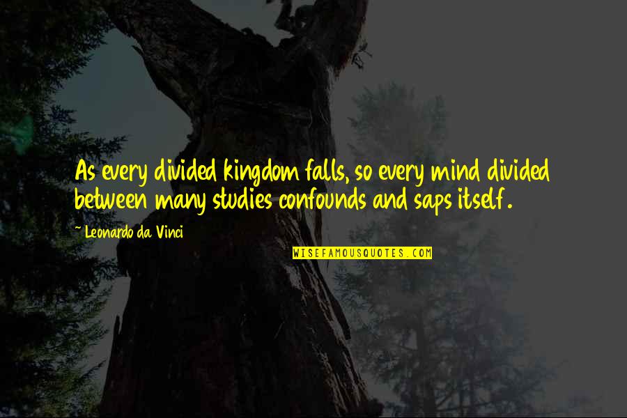 Boric's Quotes By Leonardo Da Vinci: As every divided kingdom falls, so every mind Boric's Quotes By Leonardo Da Vinci: As every divided kingdom falls, so every mind