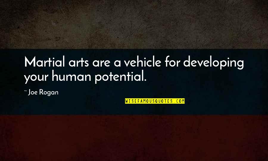 Boring School Quotes By Joe Rogan: Martial arts are a vehicle for developing your