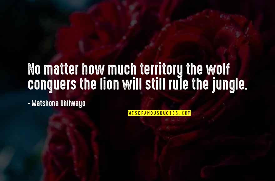 Boring To Not Be A Philosopher Quotes By Matshona Dhliwayo: No matter how much territory the wolf conquers Boring To Not Be A Philosopher Quotes By Matshona Dhliwayo: No matter how much territory the wolf conquers