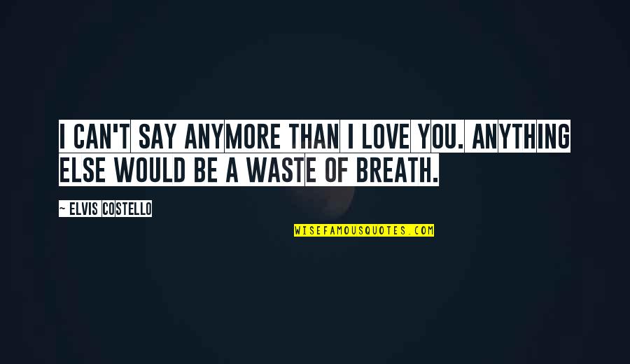 Boring Train Journey Quotes By Elvis Costello: I can't say anymore than I love you.