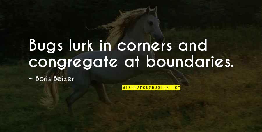 Boris Beizer Quotes By Boris Beizer: Bugs lurk in corners and congregate at boundaries.