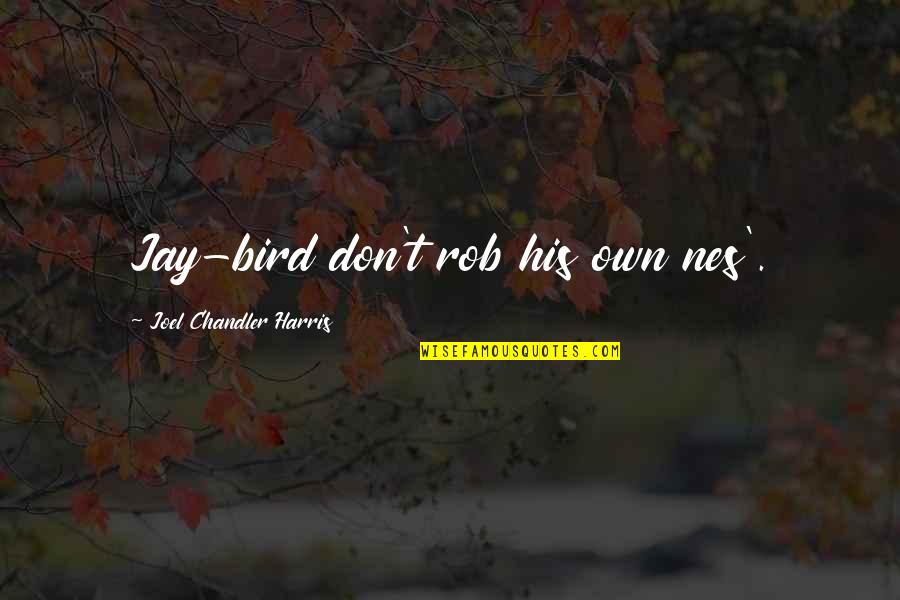 Boriyuan Quotes By Joel Chandler Harris: Jay-bird don't rob his own nes'.