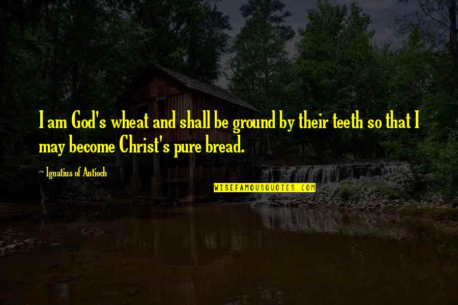 Borje Quotes By Ignatius Of Antioch: I am God's wheat and shall be ground