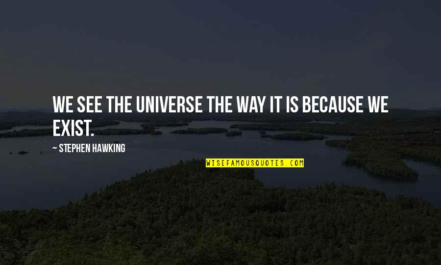 Borkenhagen Berlin Quotes By Stephen Hawking: We see the universe the way it is Borkenhagen Berlin Quotes By Stephen Hawking: We see the universe the way it is
