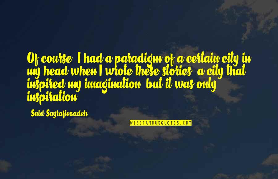 Borkenhagen Terry Quotes By Said Sayrafiezadeh: Of course, I had a paradigm of a Borkenhagen Terry Quotes By Said Sayrafiezadeh: Of course, I had a paradigm of a