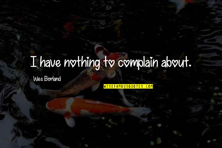 Borland Quotes By Wes Borland: I have nothing to complain about. Borland Quotes By Wes Borland: I have nothing to complain about.