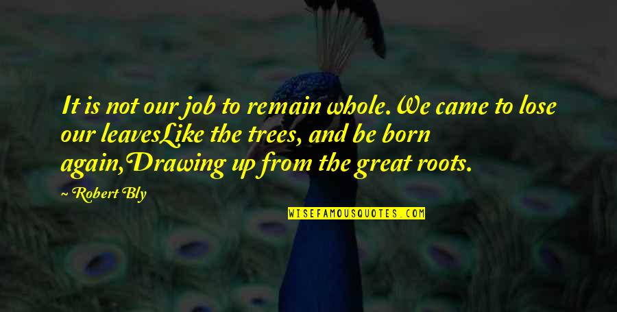 Born Again Quotes By Robert Bly: It is not our job to remain whole.We