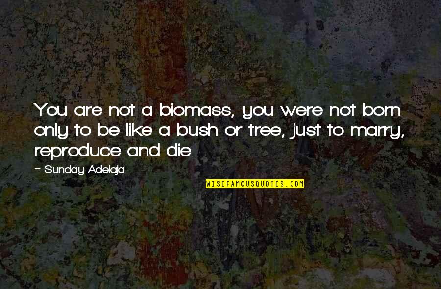 Born And Death Quotes By Sunday Adelaja: You are not a biomass, you were not