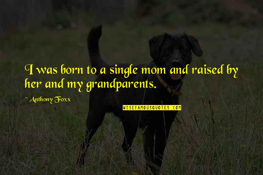 Born And Raised Quotes By Anthony Foxx: I was born to a single mom and