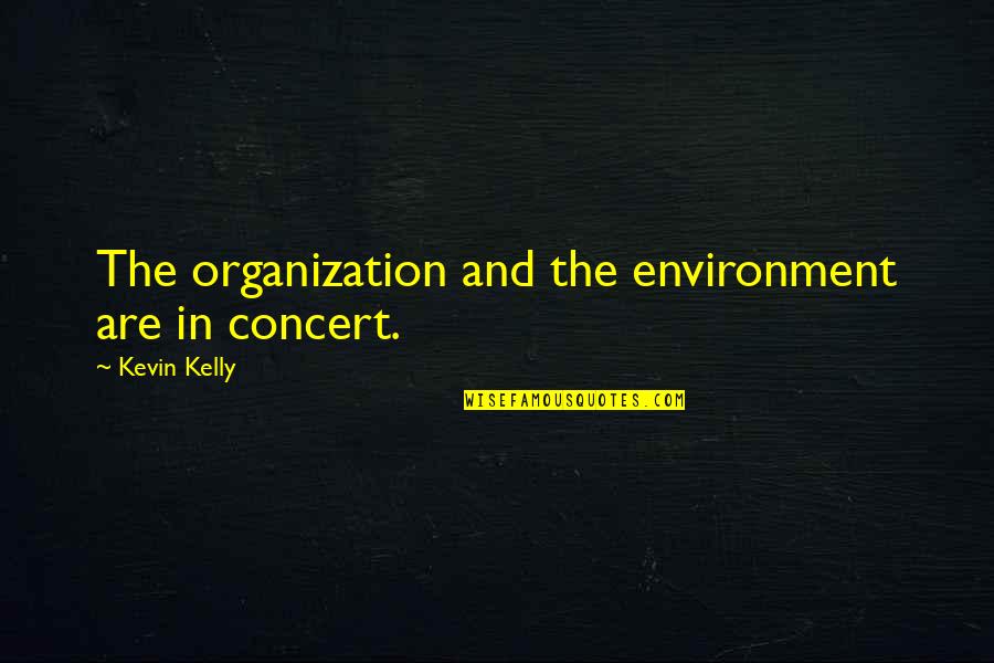 Born Cute Quotes By Kevin Kelly: The organization and the environment are in concert.
