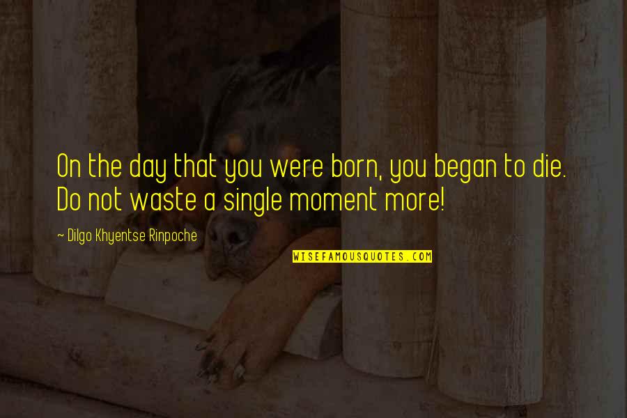 Born Day Quotes By Dilgo Khyentse Rinpoche: On the day that you were born, you