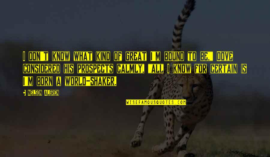 Born Into Greatness Quotes By Nelson Algren: I don't know what kind of great I'm