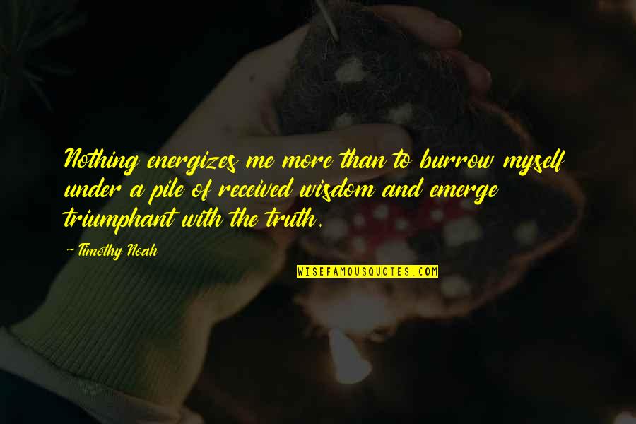 Born To Fight Quotes By Timothy Noah: Nothing energizes me more than to burrow myself