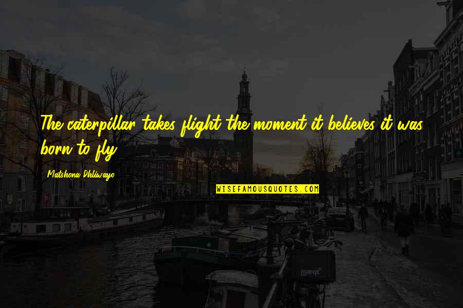 Born To Fly Quotes By Matshona Dhliwayo: The caterpillar takes flight the moment it believes