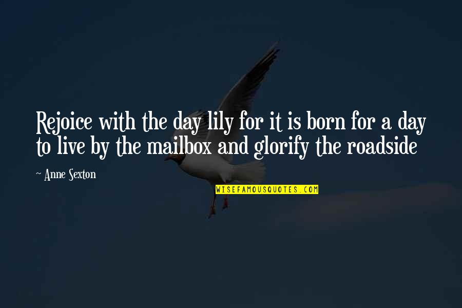 Born To Live Quotes By Anne Sexton: Rejoice with the day lily for it is Born To Live Quotes By Anne Sexton: Rejoice with the day lily for it is