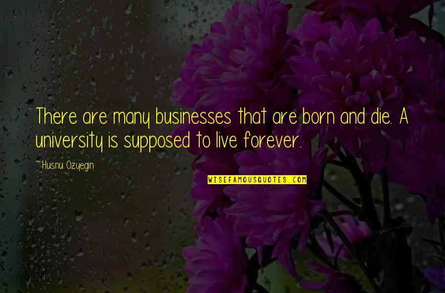 Born To Live Quotes By Husnu Ozyegin: There are many businesses that are born and