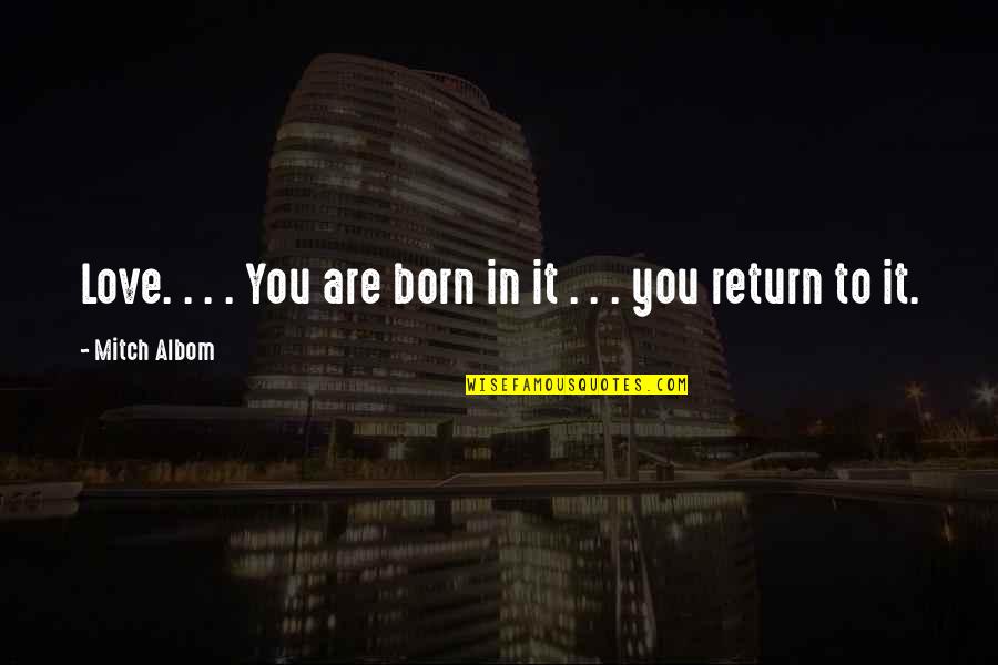 Born To Love Quotes By Mitch Albom: Love. . . . You are born in