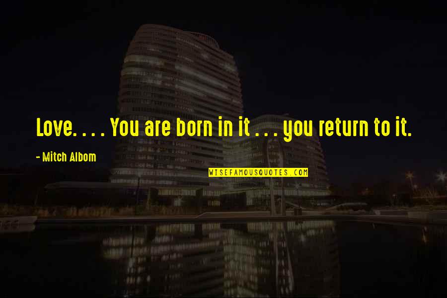 Born To Love You Quotes By Mitch Albom: Love. . . . You are born in