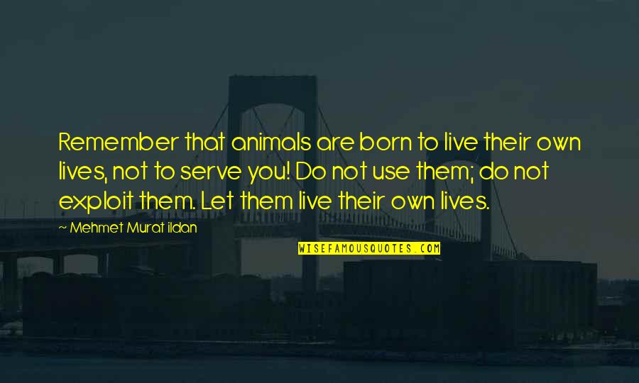 Born To Serve Quotes By Mehmet Murat Ildan: Remember that animals are born to live their
