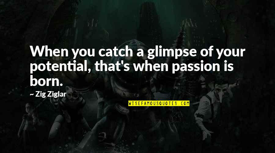 Born You Quotes By Zig Ziglar: When you catch a glimpse of your potential,