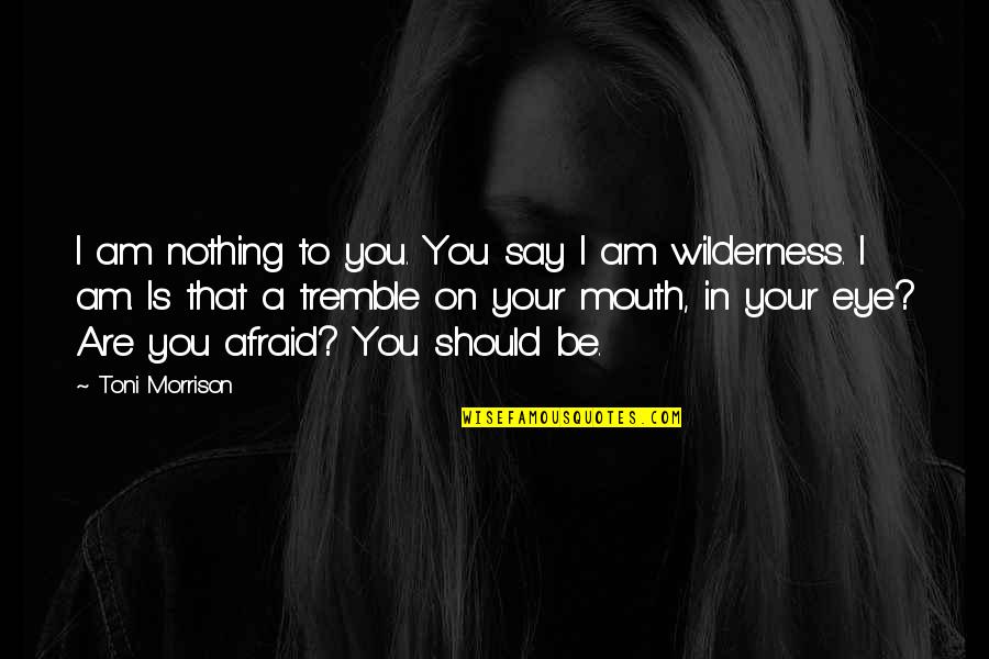 Borning 3 Quotes By Toni Morrison: I am nothing to you. You say I