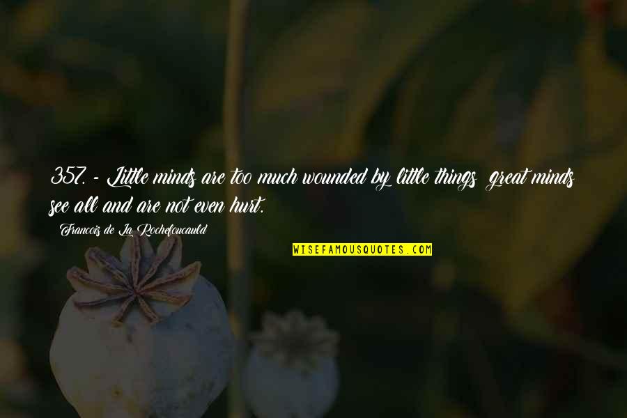 Borozan Vardar Quotes By Francois De La Rochefoucauld: 357. - Little minds are too much wounded Borozan Vardar Quotes By Francois De La Rochefoucauld: 357. - Little minds are too much wounded