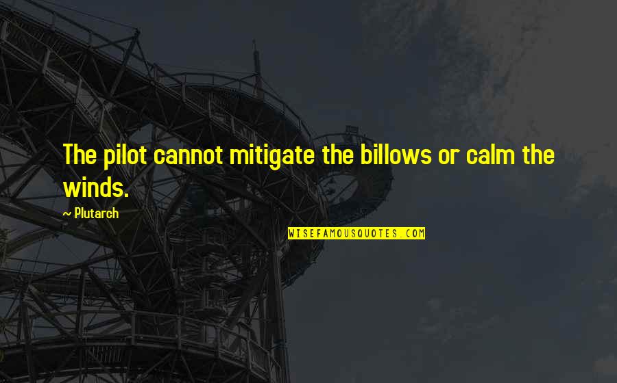 Borrao Quotes By Plutarch: The pilot cannot mitigate the billows or calm