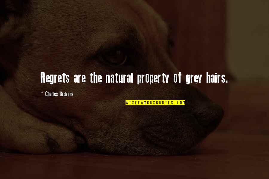 Borrar Cookies Quotes By Charles Dickens: Regrets are the natural property of grey hairs.