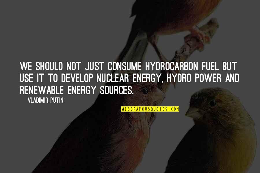 Borras Quotes By Vladimir Putin: We should not just consume hydrocarbon fuel but