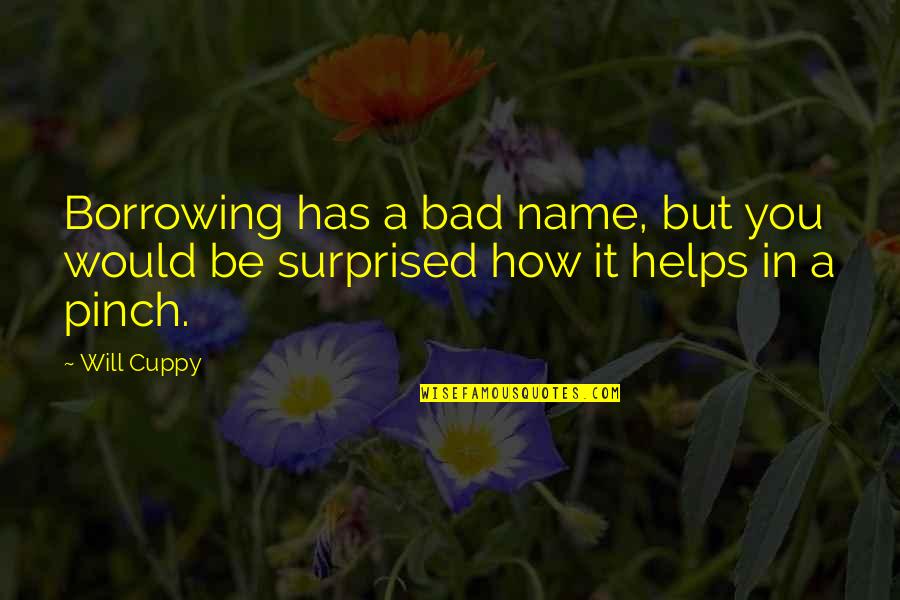Borrowing's Quotes By Will Cuppy: Borrowing has a bad name, but you would