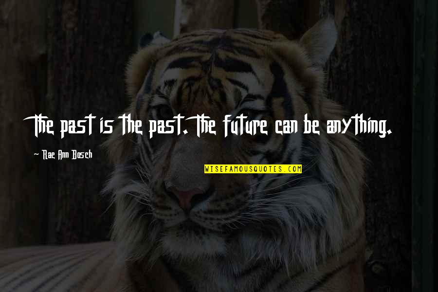 Bosch Quotes By Rae Ann Bosch: The past is the past. The future can