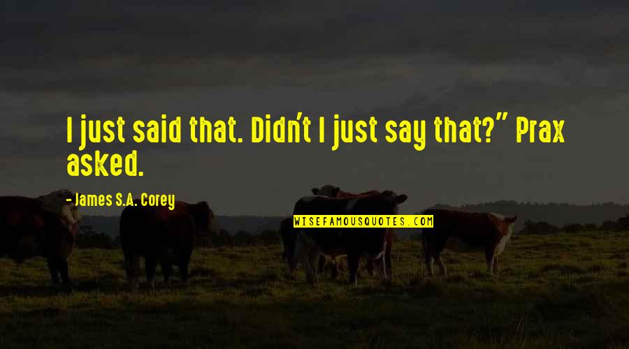 Boskamp Amersfoort Quotes By James S.A. Corey: I just said that. Didn't I just say