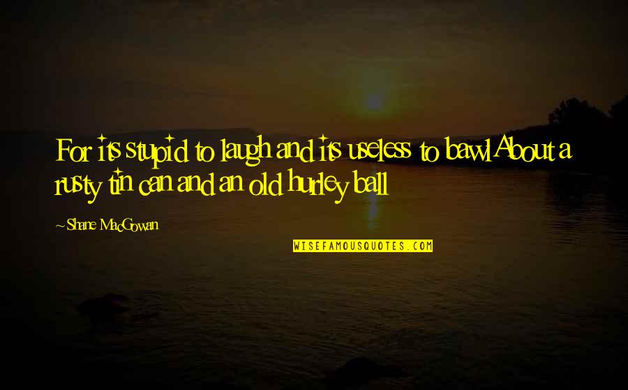 Bosphorus Strait Quotes By Shane MacGowan: For its stupid to laugh and its useless Bosphorus Strait Quotes By Shane MacGowan: For its stupid to laugh and its useless