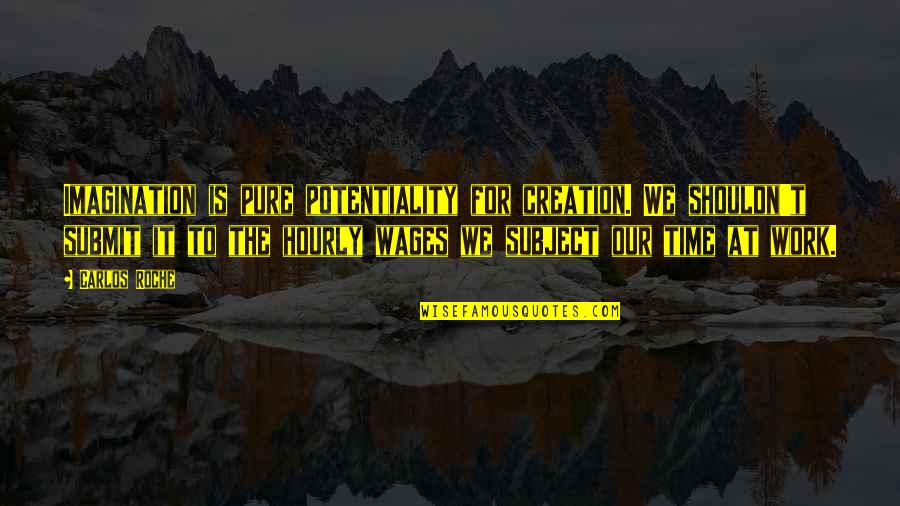 Boss Of It All Quotes By Carlos Roche: Imagination is pure potentiality for creation. We shouldn't