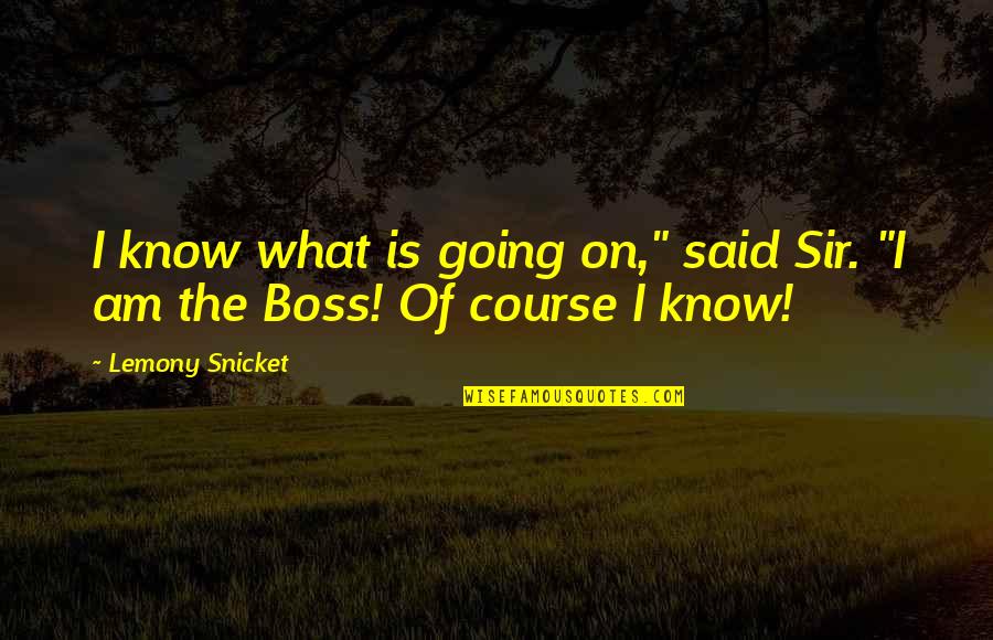 Boss Of It All Quotes By Lemony Snicket: I know what is going on," said Sir.