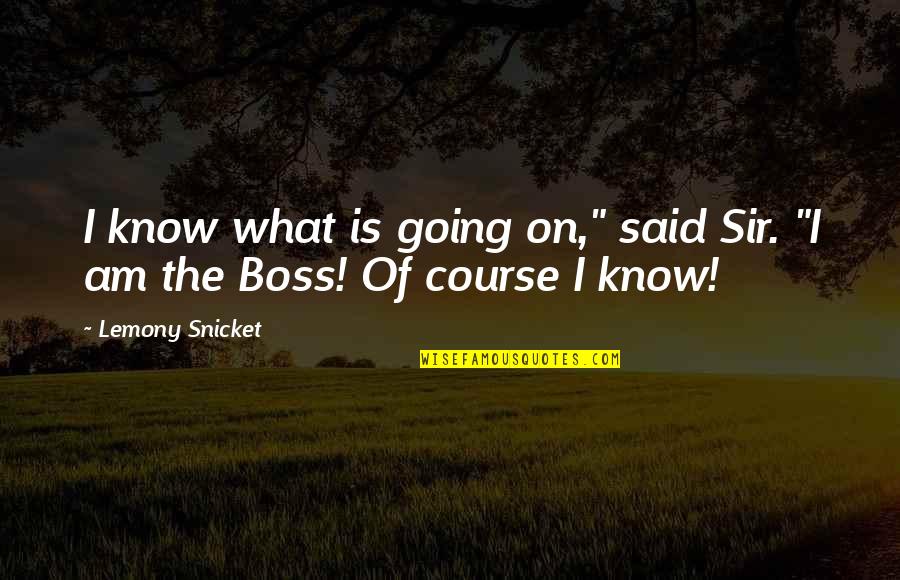 Boss Quotes By Lemony Snicket: I know what is going on," said Sir.