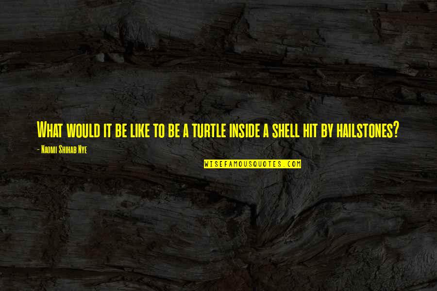 Bosserman Fuel Quotes By Naomi Shihab Nye: What would it be like to be a Bosserman Fuel Quotes By Naomi Shihab Nye: What would it be like to be a