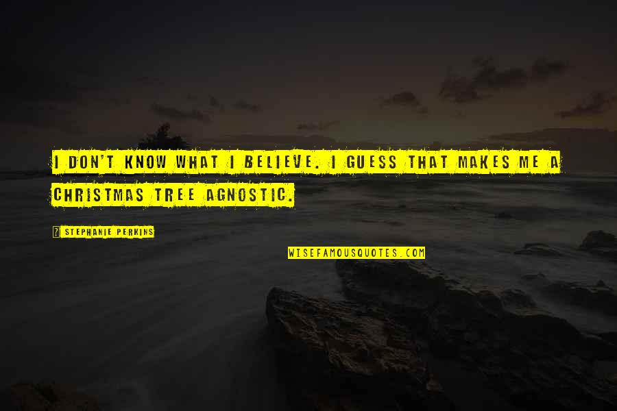 Boster Biological Technology Quotes By Stephanie Perkins: I don't know what I believe. I guess