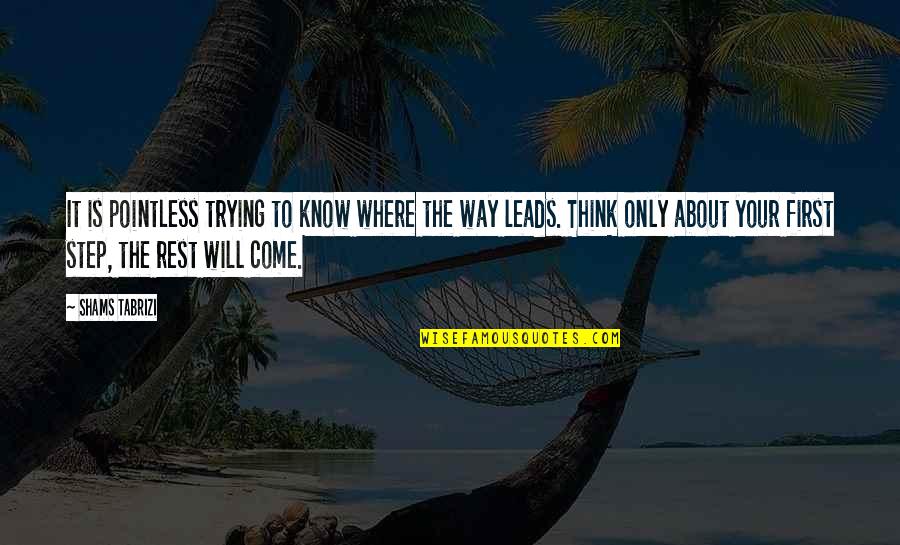 Bostezos Quotes By Shams Tabrizi: It is pointless trying to know where the Bostezos Quotes By Shams Tabrizi: It is pointless trying to know where the