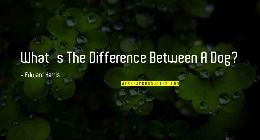 Boswijk Opleiding Quotes By Edward Harris: What's The Difference Between A Dog? Boswijk Opleiding Quotes By Edward Harris: What's The Difference Between A Dog?