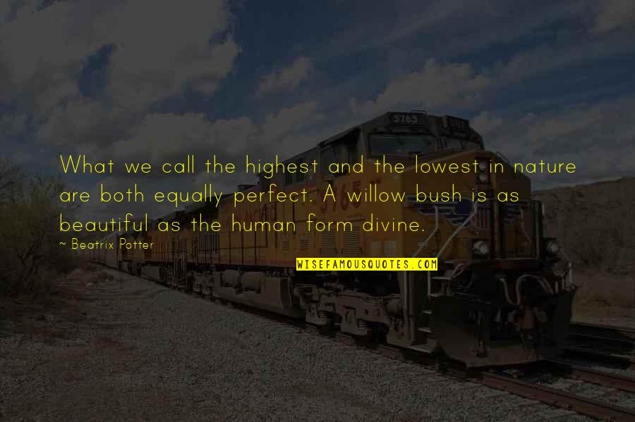 Both Are Beautiful Quotes By Beatrix Potter: What we call the highest and the lowest