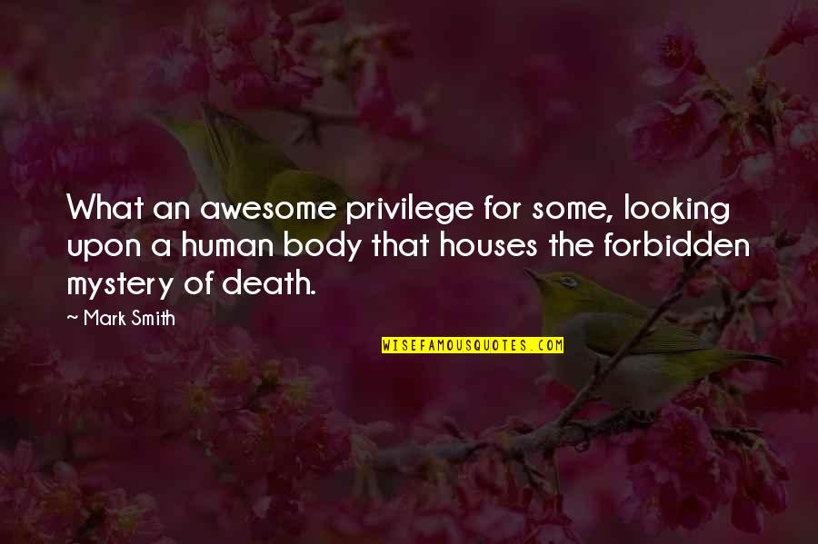 Both Are Looking Awesome Quotes By Mark Smith: What an awesome privilege for some, looking upon