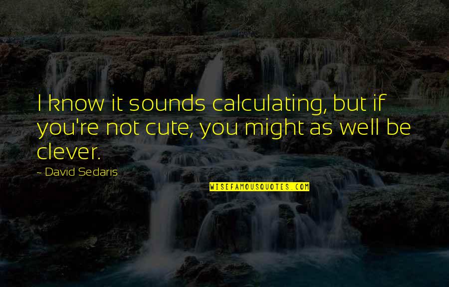 Both Cute Quotes By David Sedaris: I know it sounds calculating, but if you're