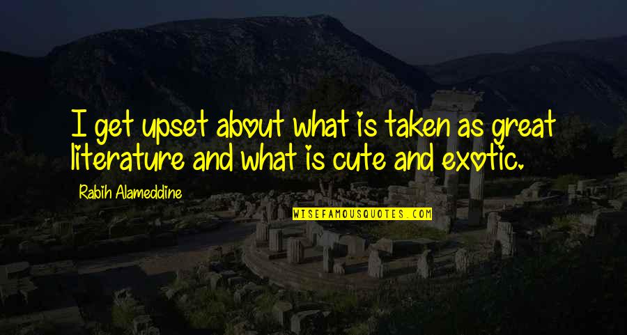 Both Cute Quotes By Rabih Alameddine: I get upset about what is taken as